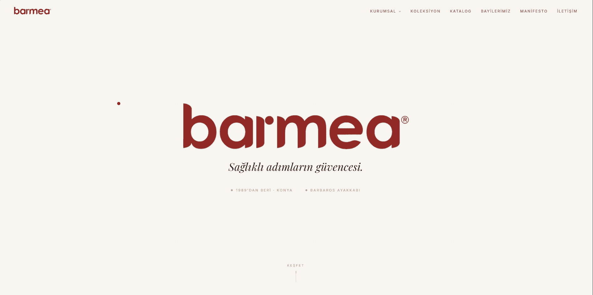 Barmea proje görseli
